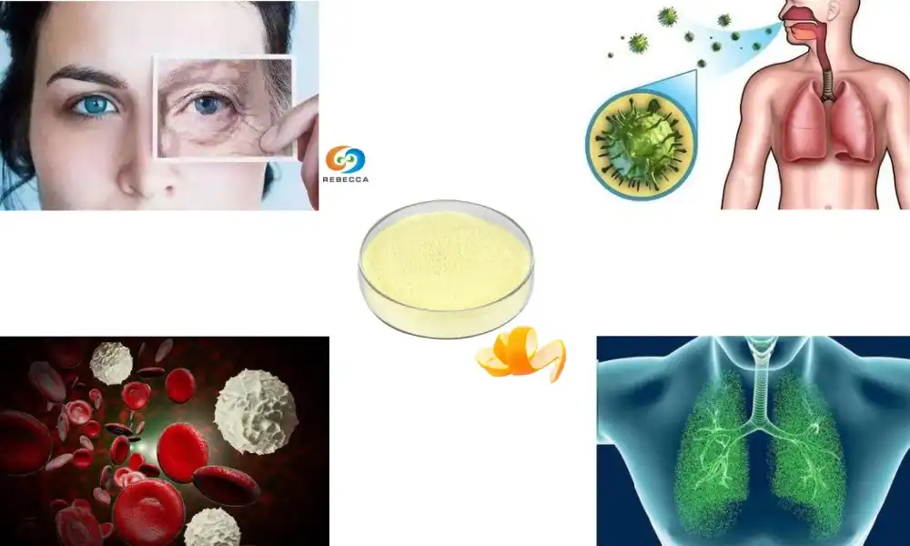 What is Vitamin C Hesperidin Powder?